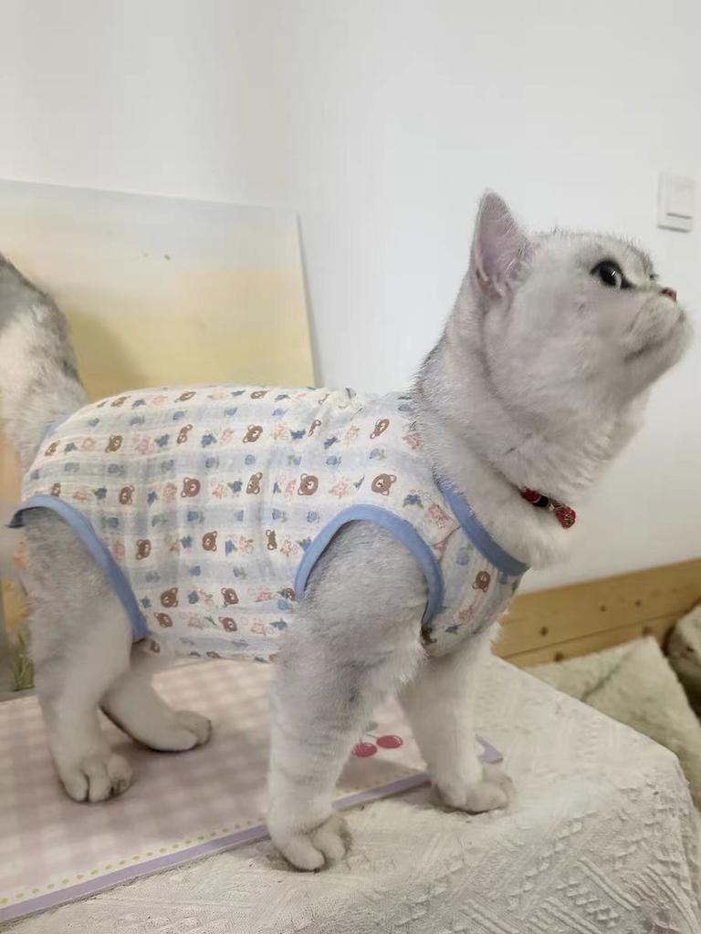 Cat Anti-hair Belly Care Clothes Kitten Neutering Weaning Mother Cat Cotton Winter Surgery Warm Autumn and Winter Clothing
