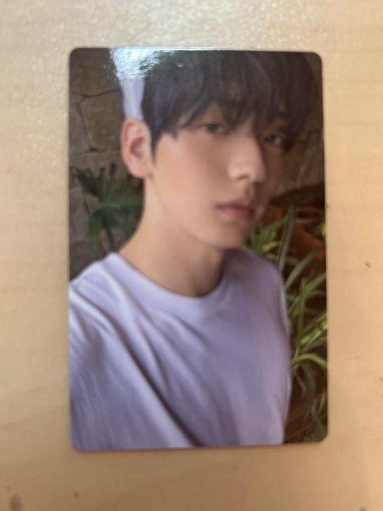 [USED] TXT SANCTUARY