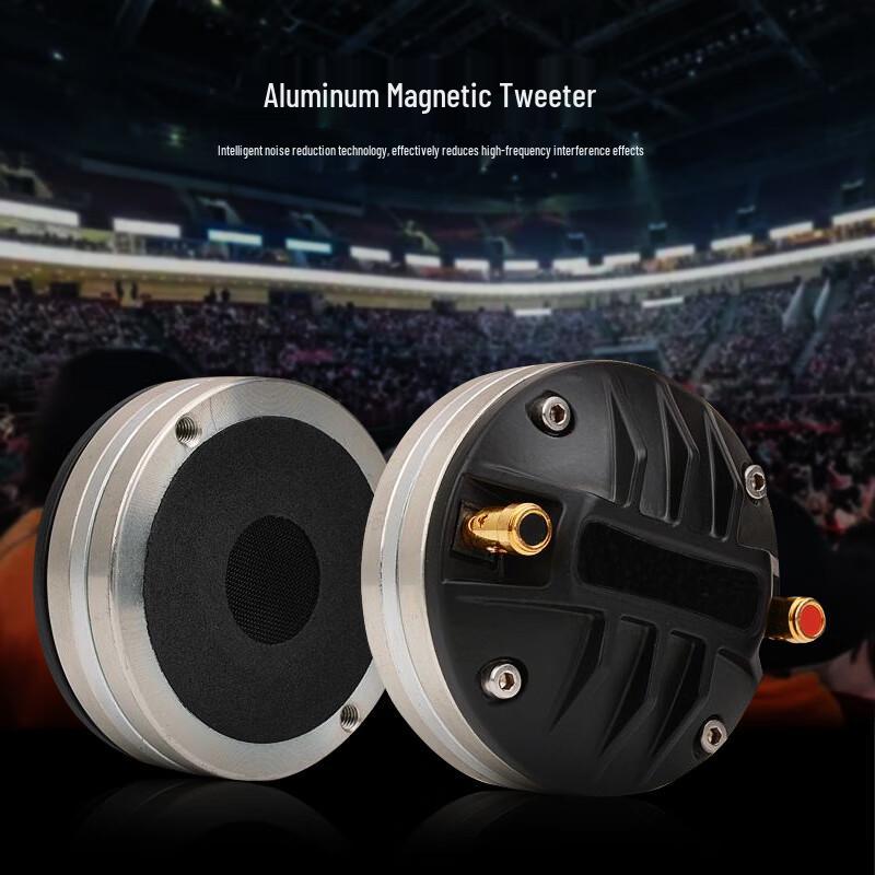 WeiShu PC-610A 10-inch Full-Range Passive Professional Speaker