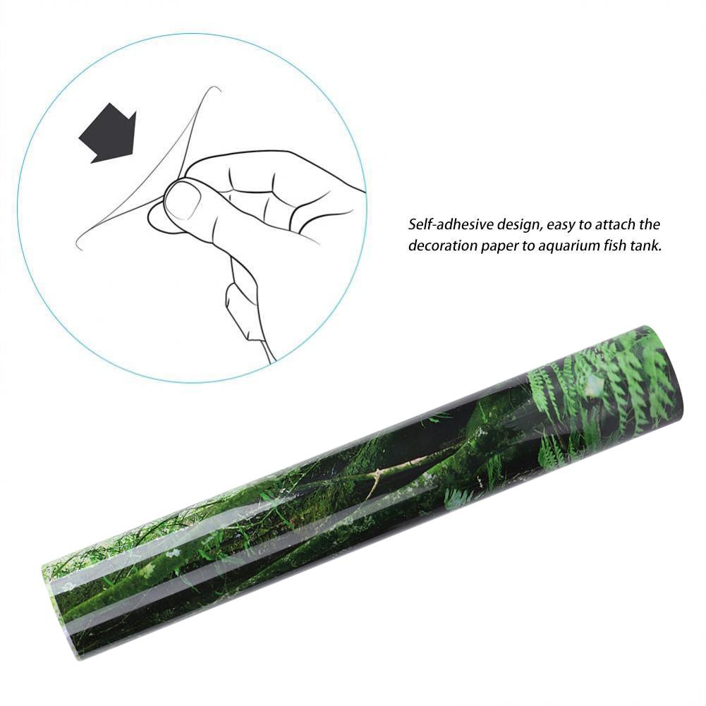 ПВХ Рептилия Коробка Тропический Лес Фон Плакат Аквариум Настенная Картина Картина Украшение Самостоятельно