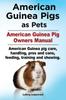 Книга American Guinea Pigs As Pets American Guinea Pig Owners Manual American Guinea by Ledgewood Ludwig - Paperback