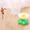 Bird Bee Indoor Play Dog Kitten Pet Supplies Cat Training Toys Pet Teaser Toys Rotating Cat Toy