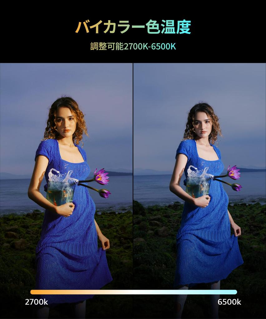 Amaran ACE25X Small Video Light (Silver)