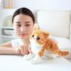 Рыжий кот Американская короткошерстная плюшевая игрушка Как настоящий Милый маленький котенок Разноцветные кошки Кукла Полосатый Милый Плюшевый подарок детям