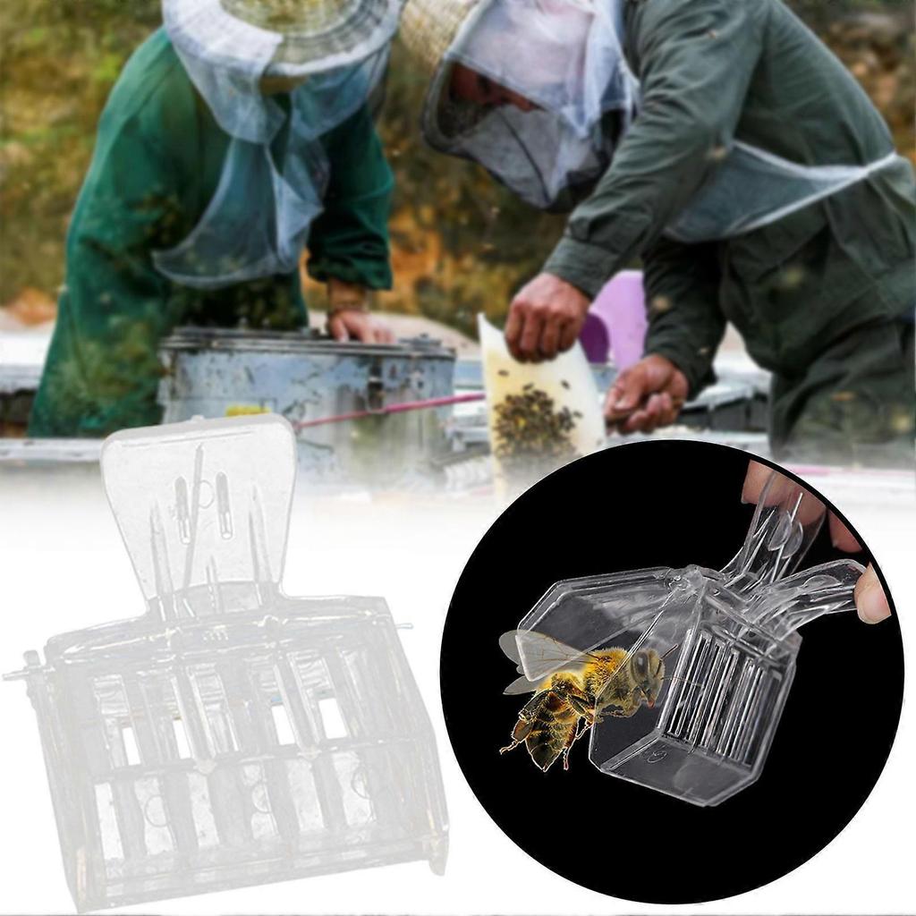 5Pcs Bee Queen Catching Clip,Bee Catcher Cage Beekeeping Tool, Beekeeper Catching Apiculture Beekeeping Clip