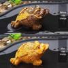 Color-Changing Golden Toad Tea Pet Ornament