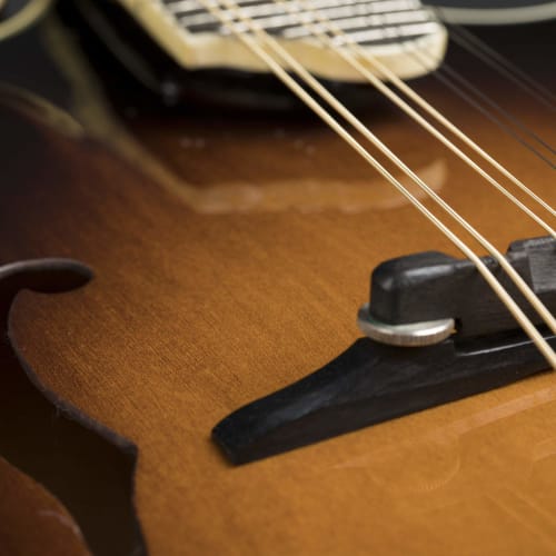 Martin Mandolin Strings Monel M465 Medium (Monel) Mandolin Strings