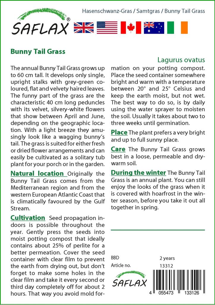 SAFLAX Garden in the Bag - Трава Банни Хвост - 100 семян - С субстратом в подходящем мешке - Lagurus ovatus