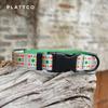 PLATTCO Новая серия с принтом фруктов Ошейник для питомца PDC331
