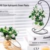 Indoor Desktop Murraya: Easy-Care Blooming Green Hydroponic Plants for Office & Living Room