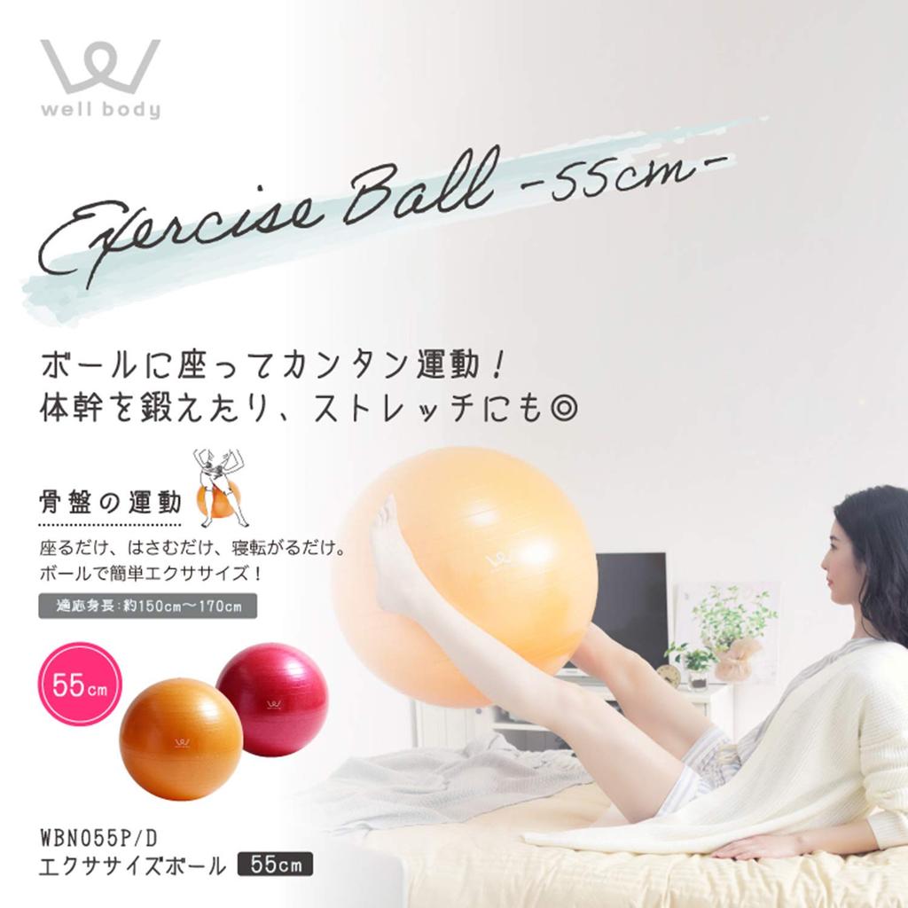 Alinco Exercise Ball 55cm WBN055D (Orange)