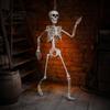 Life-like Skeleton Decoration 3ft Life Size Halloween Skeleton, Full Body Posable Plastic Prop, Realistic Poseable Prop Human Bones Model for