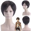 Cos Synthetic Short Hair Wig For Attack On Titan Characters High Temperature Fiber