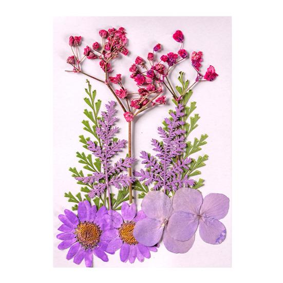 10 Pcs Pressed Dried Flowers Flat Real Dried Blooms All-Natural Colored Dried Flowers for DIY Crafts Scrapbooking Face Decoration