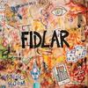 CD FIDLAR - Too HSE30358 Hostess Enterta 2015 Япония ObiRock Б/у
