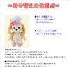 Alice Cookie Ann Teddy Bear (Small Size) - Alice In Wonderland Costume (Sky Blue) - No Body