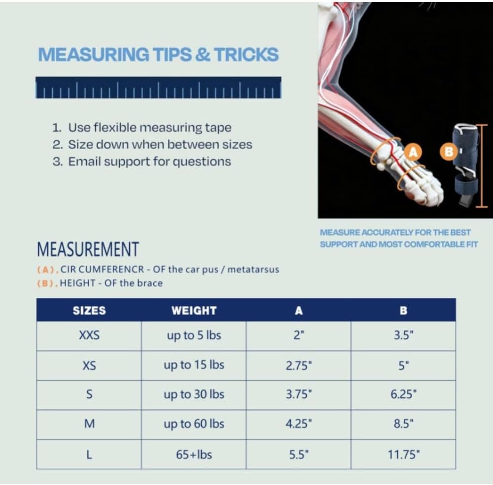 Регулируемый бандаж для лапы кошки со съемной шиной – При травмах запястного/предплюсневого сустава, растяжениях и переломах – Для передних или задних лап