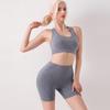 Seamless Yoga Clothing Two-Piece Vest Shorts Fitness Women Backless Bra Tops Set of Breathable Elastic Hip Lift