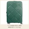 Чемодан-переноска INSTAGON Spinner Expandable TSA 69 см Sage Green [American Tourister] 69/25 79/87 л 3,9 кг