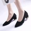 Pointed High Heels Square Heel Pumps Women Spring Autumn Shoes Woman Fashion Shallow Office Shoes Slip-On Wedding Ladies Shoe