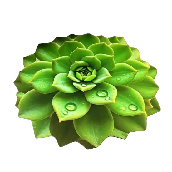 3D Цветочный коврик для пола Реалистичный Впитывающий Цветочный ковер Нескользящий Декоративный коврик для гостиной Ванной Кухни Спальни