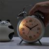 4 Inch Twin Bell Loud Alarm Clock Luminous Metal Frame Silent Student Alarm Clock Strong Wake-up Mute Table Clock Living Room