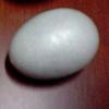 Polystyrene Egg - White - 10 Cm - Customizable Decoration - Mixed