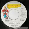 7inch Record ANTHONY RED ROSE - Coconut Water HOW0123 How Yu Fi Sey D 1996 Jamaica Reggae, Ska & Dub Used
