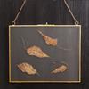 Brass Glass Metal Picture Photo Dried Plant Preserver
