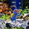 Fish Tank Diver Decorations Aquarium Floating Diver Figurine Little Diver Ornament Adjustable Landscape Greening Decor For Tank