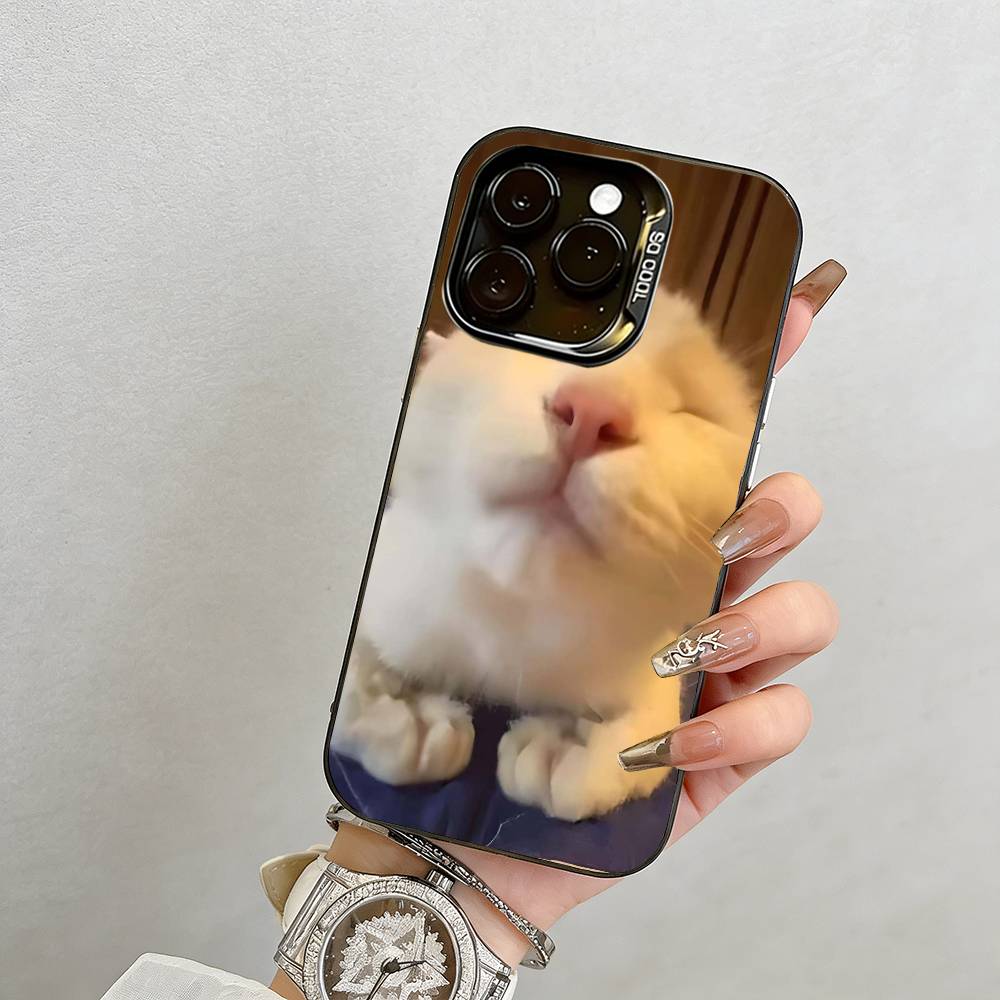 Забавный чехол для телефона с кошкой Чехол для телефона для iPhone 17,16,15,14,13,12,11 Plus,Pro Max,XS,Цветной Посеребренная Внутренняя крышка