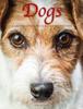 Книга Dogs : A Celebration of Our Canine Friends