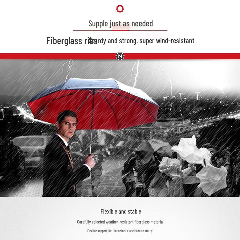 Aolansi Automatic 10-Rib Umbrella