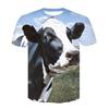 Summer Men's Streetwear Short Sleeve T-Shirt Tops Funny Animal Men's Casual Horse Racing 3D Printed T-Shirt