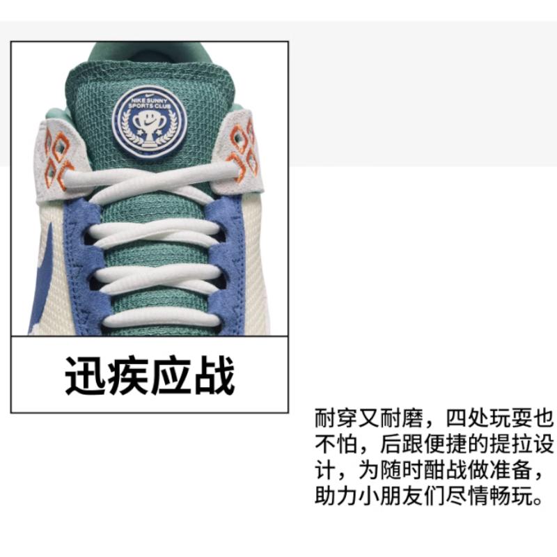 Nike SB DAY ONE Низкие детские кеды для скейтбординга Бело-синие Подростковые HM3720-141
