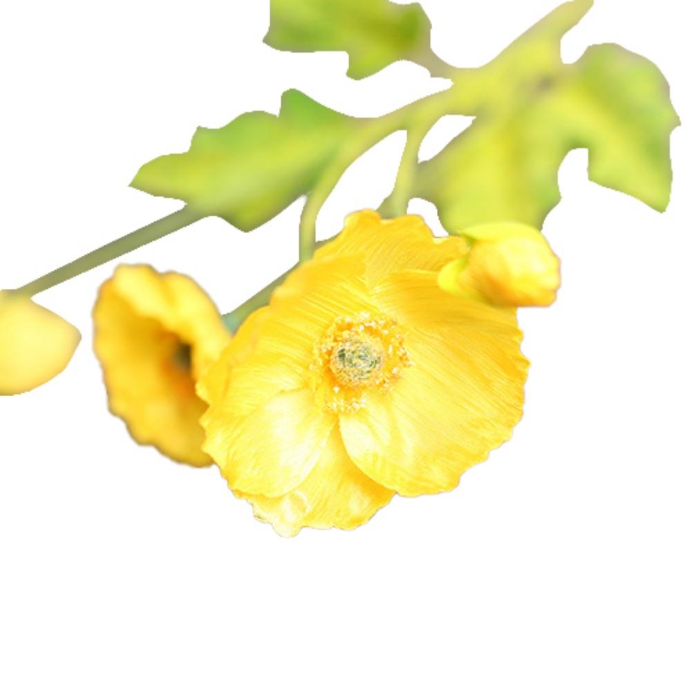 1 шт. Красивые искусственные цветы из шелка для сада, свадьбы, имитации цветов, букеты, искусственные цветы, мак, самосейка, домашний декор