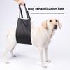 Pet Assistance: Outdoor Leashes for Elderly Dogs, Rehabilitation Chest Straps for Disabled Dogs
