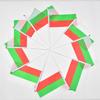 Болгария 10 штук флажков 14*21см для размахивания руками