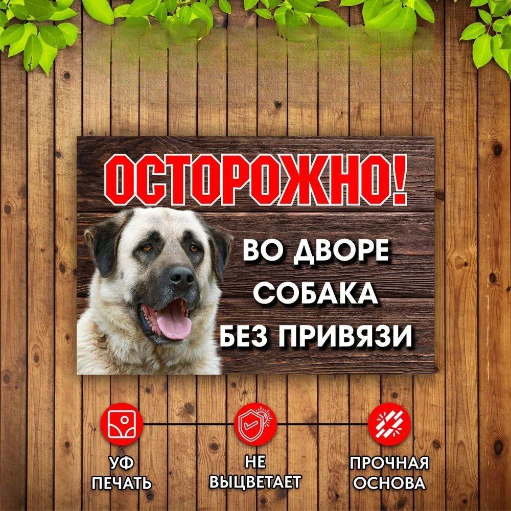 Осторожно Собака во дворе Без поводка