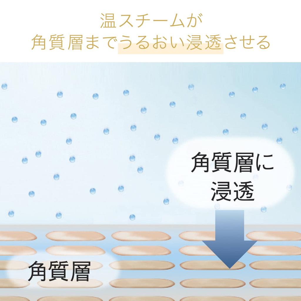 Panasonic Steamer Nano Care Compact Type Gold Tone EH-SA3C-N