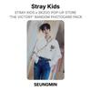 Stray Kids X SKZOO POP-UP STORE 'THE VICTORY' Случайный набор фотокарточек Официальная фотокарточка