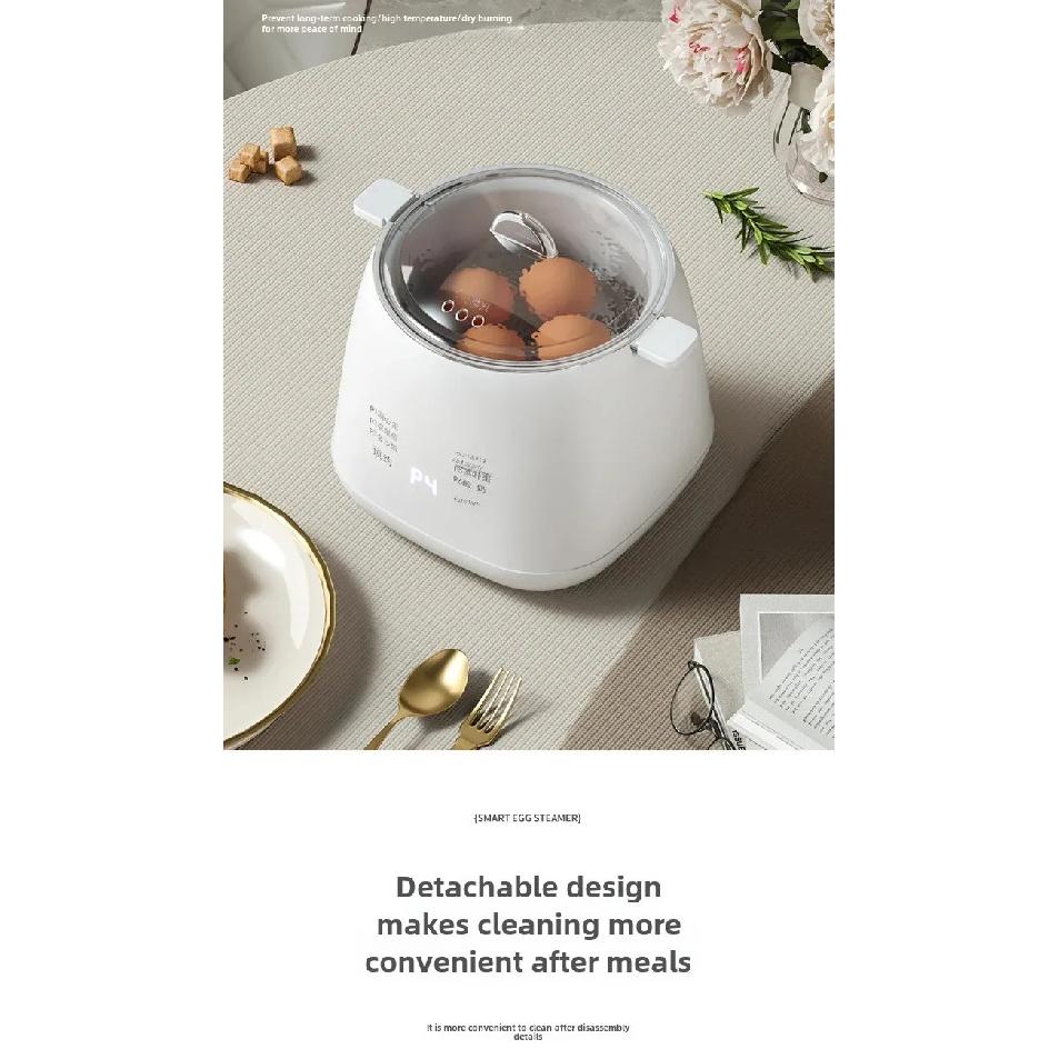 Mini Multifunctional Home Use Automatic Shutdown Egg Boiler 110V Pre-Timed Breakfast Egg Cooker Small Personalized Motorcycle Eq