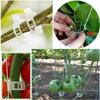 100Pcs Plastic Vine Fixing Clip, Pumpkin Vine Tying Clip, Agricultural Hanging Vine Supporting Vine Tying Branch Plant Fixing Clip