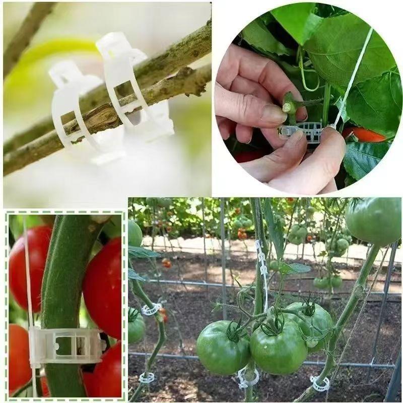 100Pcs Plastic Vine Fixing Clip, Pumpkin Vine Tying Clip, Agricultural Hanging Vine Supporting Vine Tying Branch Plant Fixing Clip
