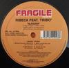 12inch Record ANDREA RIBECA, TRIBÒ - Alegria FRG105 Fragile Records 2009 Italy Dance & Electronica Used