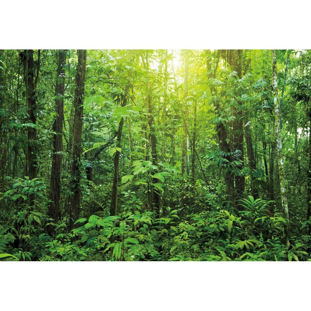 Spring Forest Backdrop Tropical Jungle Rainforest Backdrops for Photography Camping Adventure Birthday Background Photo Studio