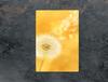 GLASS CUTTING BOARD 35x52 Flower