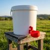 10 Sets PP Chicken Waterer Cups Durable Pigeon Waterer Cups Automatic Chicken Water Cups  Home Use