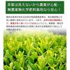 Shizuoka Prefecture produced whole leaf powdered green tea organic grown without chemical fertilizers nutritious consumption shochu mix my bottle 200