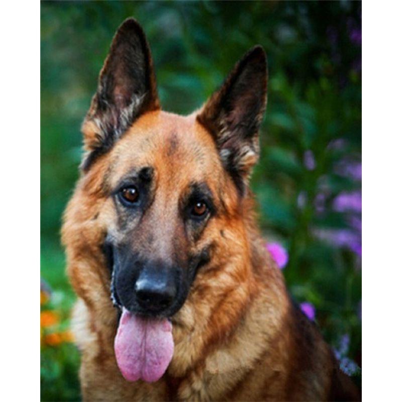 Animals Diamond Painting Diy Cross Stitch Craft Full Round Drill Diamond Embroidery Complete Kit Mosaic Decorations Home